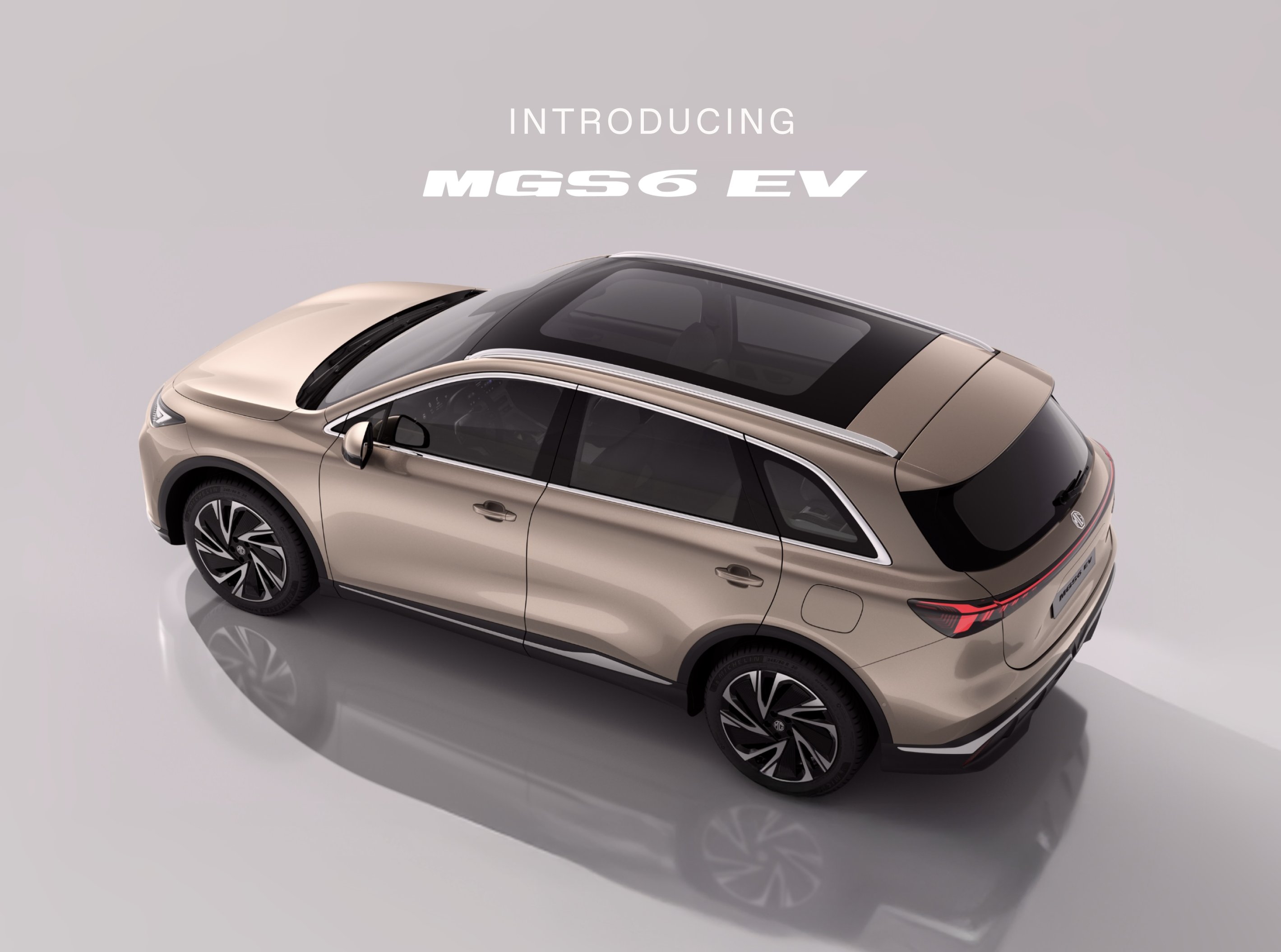 Introducing MGS6 EV